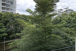 Kim Tian Road (Bukit Merah),  #620344501